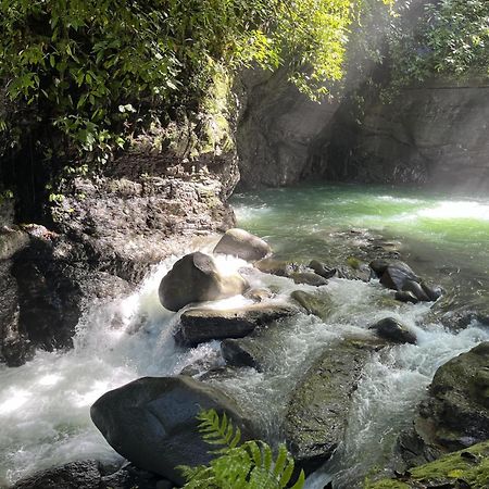 Holos Retreat Center: The Entire Ridge Basecamp Baru Luaran gambar